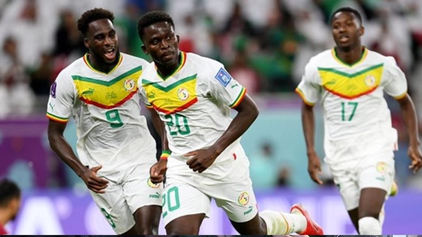 Iranpress: Senegal defeats Equador 2-1 at World Cup 