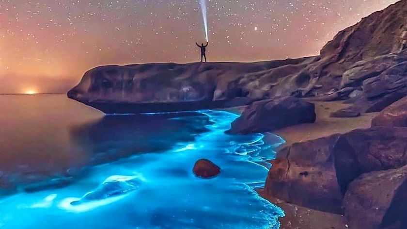 Iranpress: Watch glowing phytoplankton in Persian Gulf