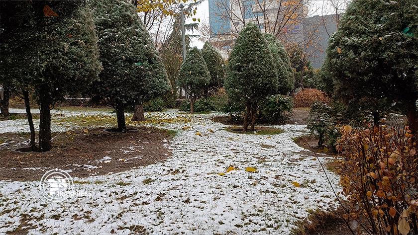 Iranpress: First autumn snow covers Tehran