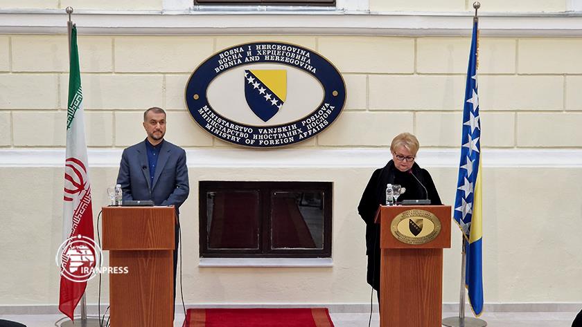Iranpress: Amirabdollahian: Iran against the war in Ukraine