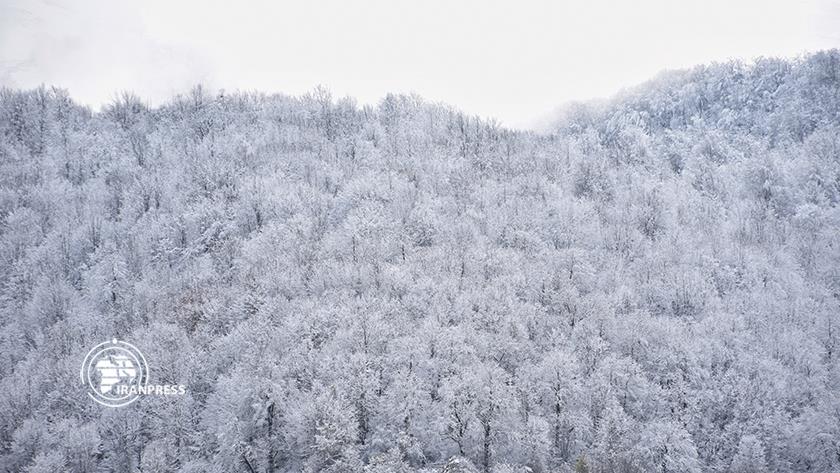 Iranpress: Historical city of Masuleh blanketed in Snow