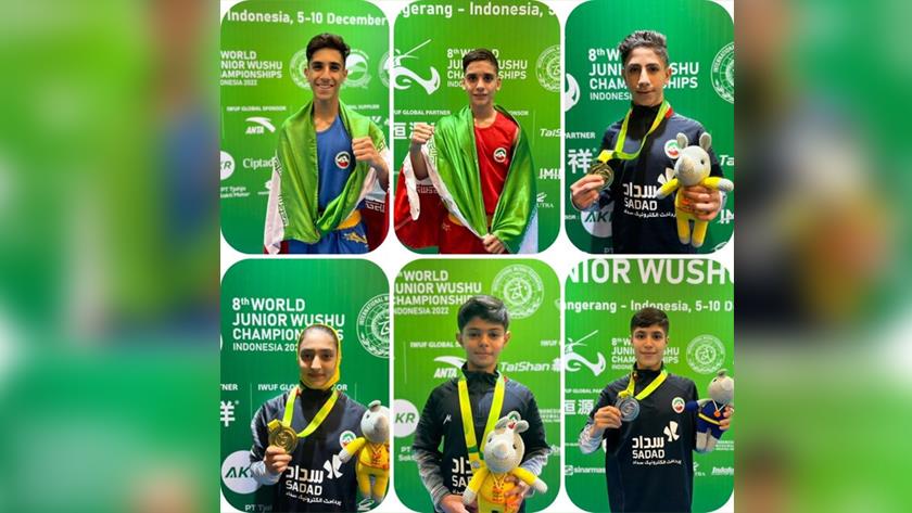 Iranpress: Indonesia; Iranian athletes win golds in sanda competitions