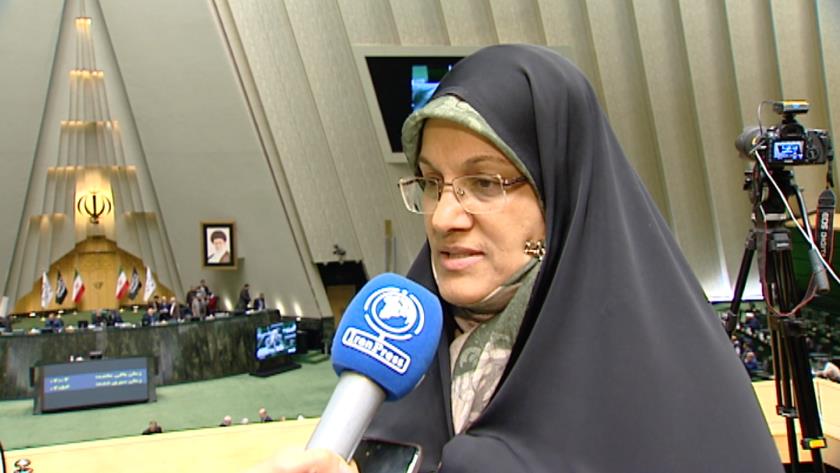 Iranpress: Elahian: 7,000 policemen injured so that rioters not harm people