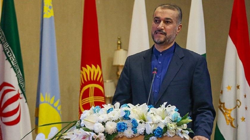 Iranpress: Amir-Abdollahian: ECO organization has a special position for Iran
