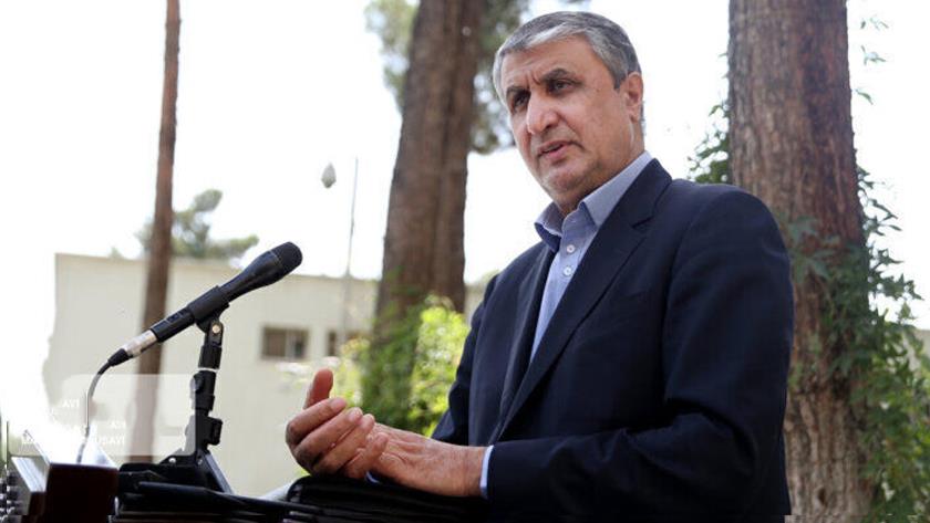 Iranpress: IAEA officials to come to Tehran in coming days: AEOI head