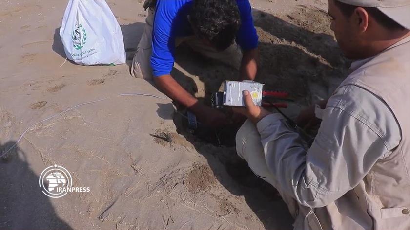 Iranpress: About 10,000 mines, explosives cleared in Al Hudaydah, Yemen