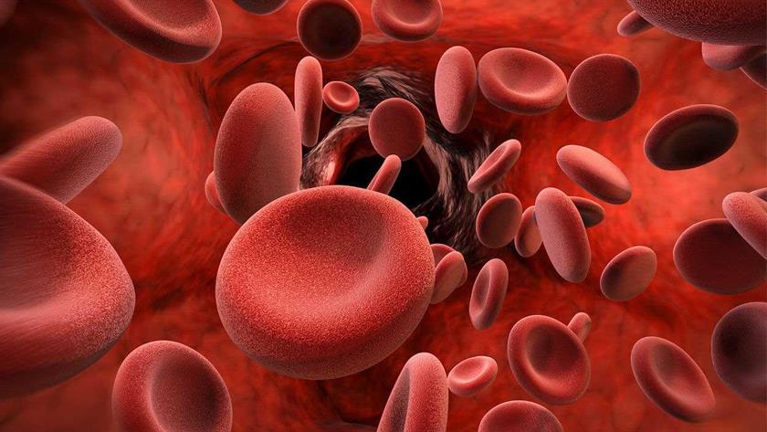 Iranpress: Sanctions; main cause of problems for thalassemia patients in Iran