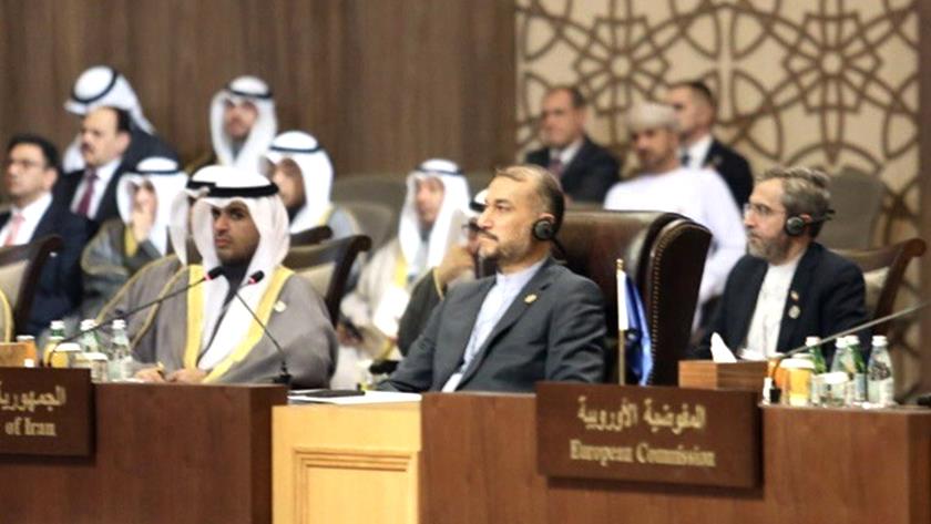 Iranpress: Regional dialogue for mutual understanding is a must: Amir-Abdollahian