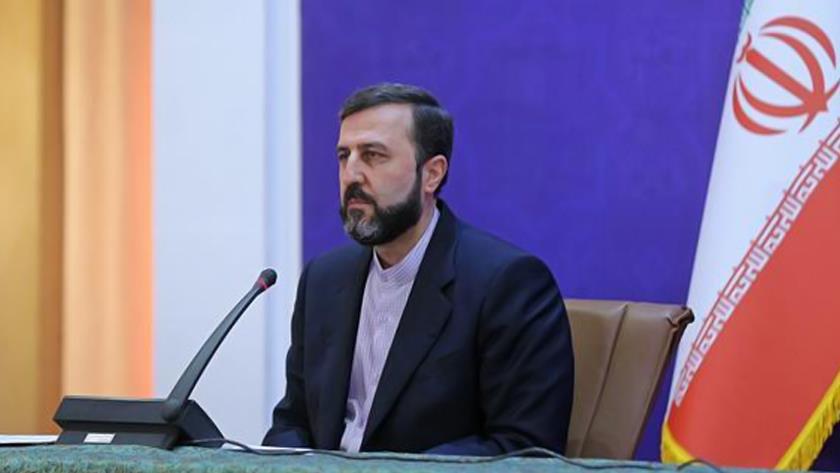 Iranpress: French government silences voices of opposition with violence: Gharibabadi