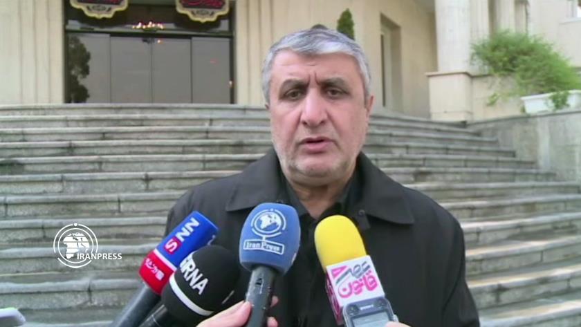 Iranpress: Sanction on medicines shows lives not matter to West: AEIO