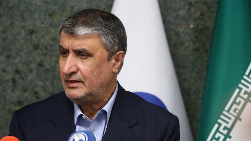 Iranpress: AEOI: US sets new conditions in JCPOA negotiations 