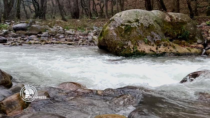 Iranpress: Do-Hezar forests of Tonekabon; gem of Mazandaran tourism