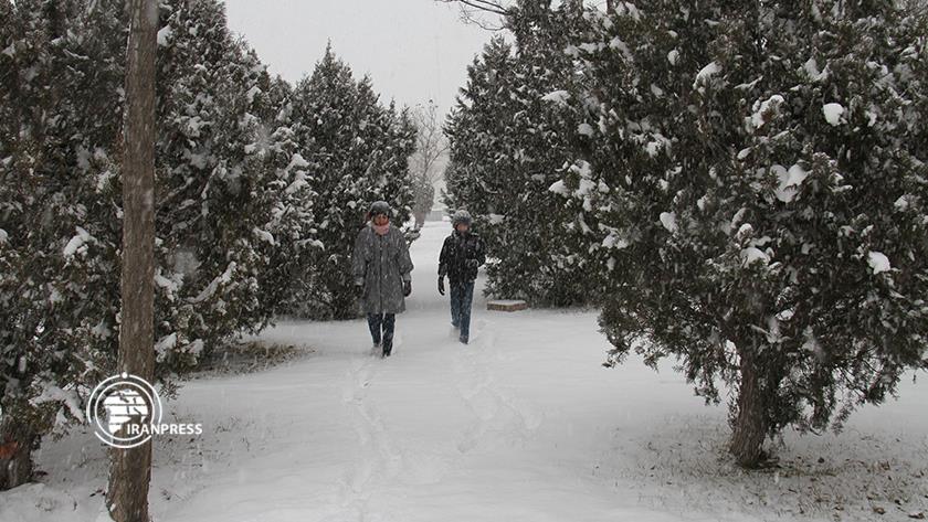 Iranpress: Iran Ardabil dresses white
