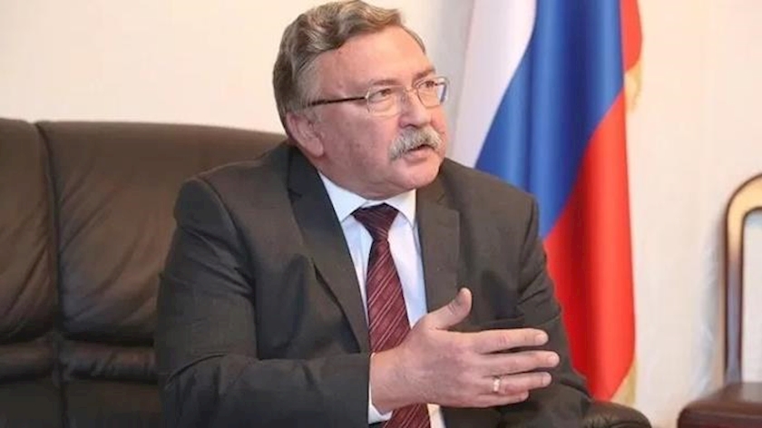 Iranpress: JCPOA revival to reduce tensions in region: Russian envoy