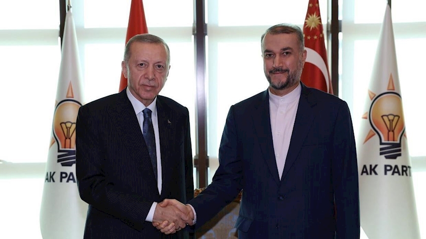 Iranpress: Turkiye
