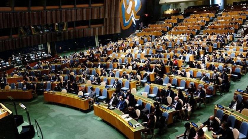 Iranpress:  6 countries lose voting rights in UN General Assembly