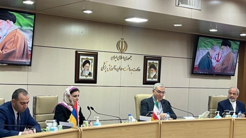 Iranpress: Iran, Armenia to develop health cooperation