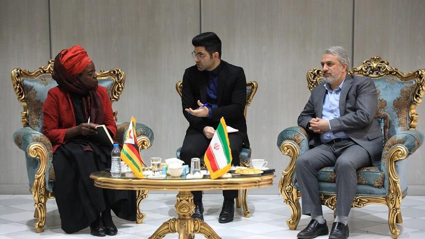 Iranpress: Zimbabwe eyeing on boosting economic cooperation with Iran 