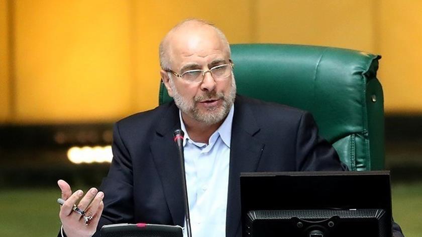 Iranpress: Iran appreciates ties with African Muslim countries: Speaker