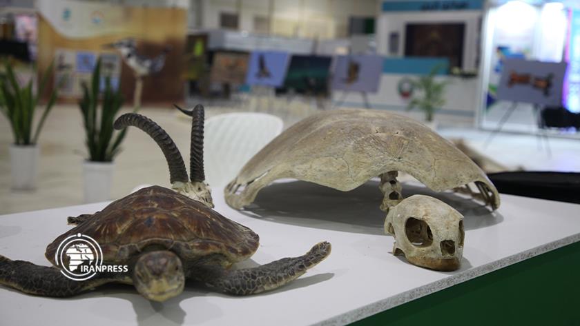 Iranpress: Sustainable City Exhibition underway in Iran Kish 