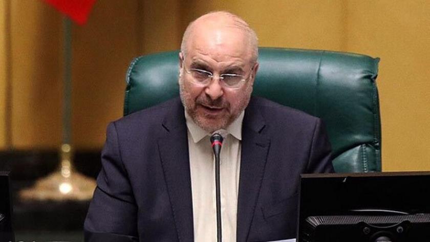Iranpress: Parl. Speaker: Islamic countries united against Europe