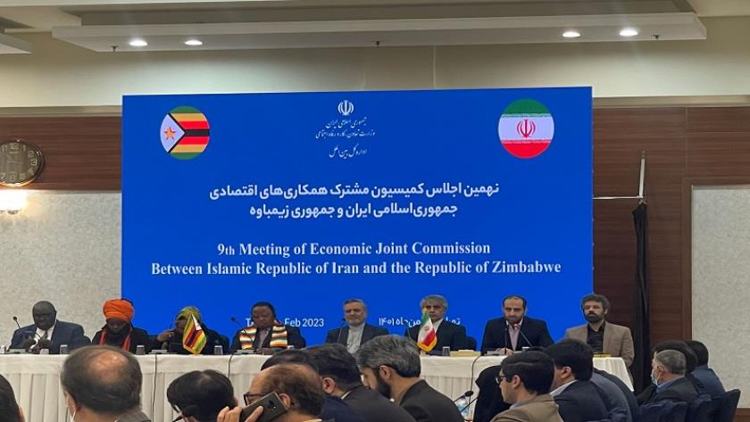 Iranpress: Iran to expand economic ties with Zimbabwe