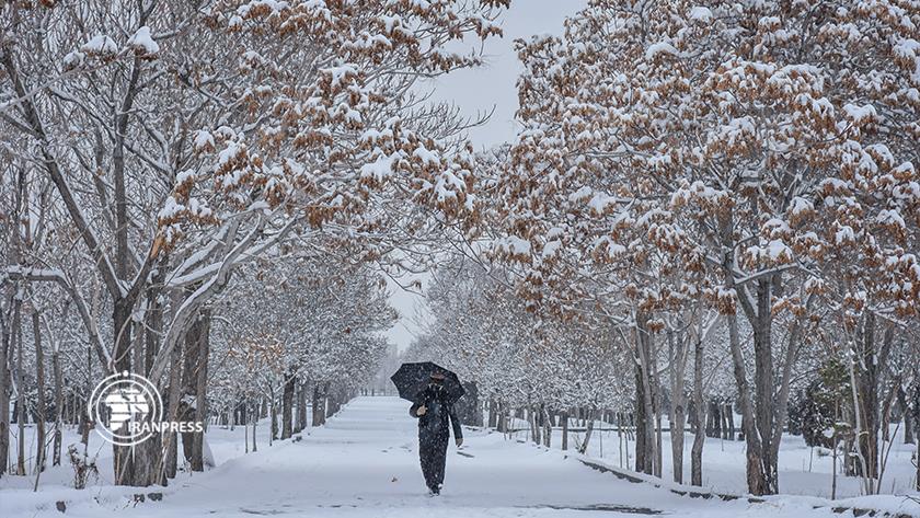Iranpress: Beautiful landscape due to heavy snowfall in Arak