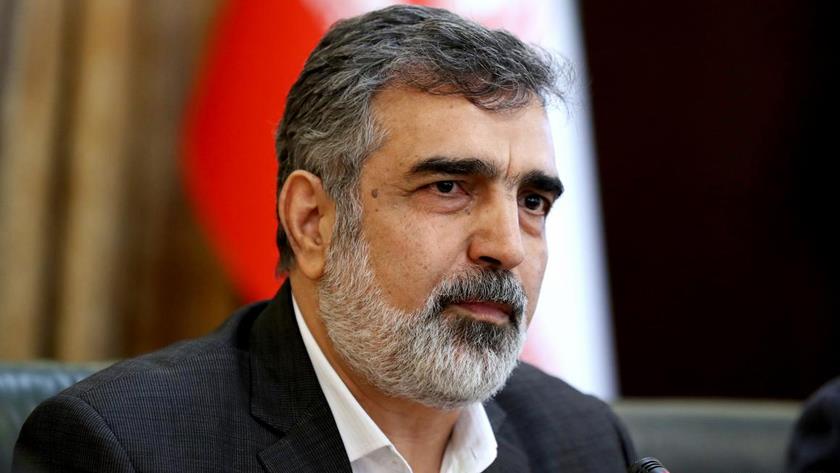 Iranpress: AEOI spox warns against IAEA politicization