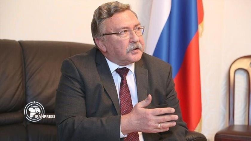Iranpress: 84% enrichment not prohibited under current arrangement: Ulyanov