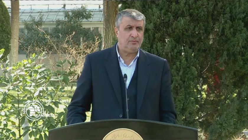 Iranpress: IAEO head slams 84% uranium enrichment claims as fake