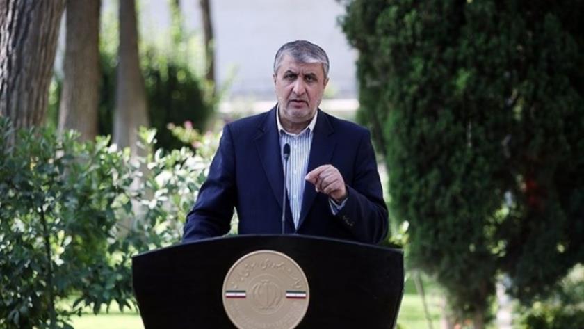 Iranpress: Iran - IAEA solve diffrences on centrifuge design statement
