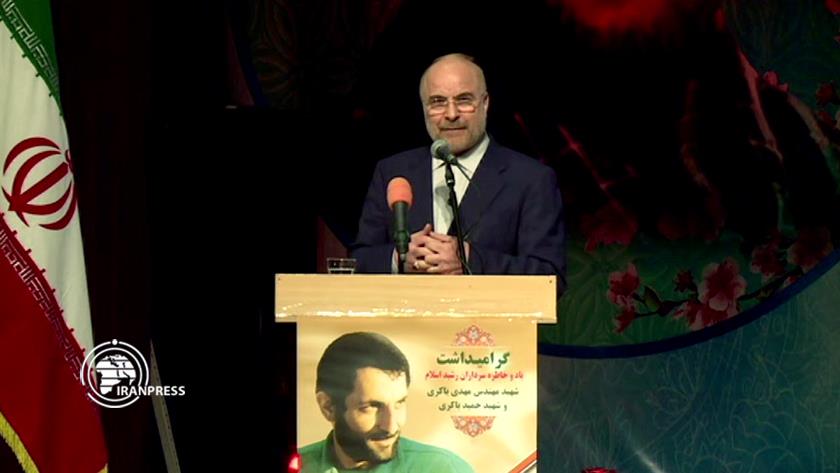 Iranpress: Sacred Defense endless treasury: Parl. Speaker