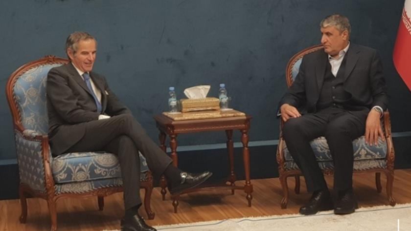 Iranpress: Heads of IAEA, AEOI start negotiations