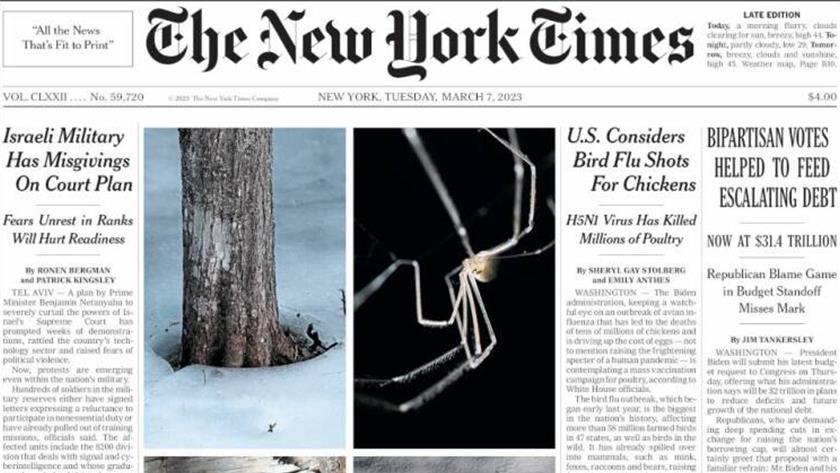 Iranpress: World Newspapers: US considers bird flu shots for chickens