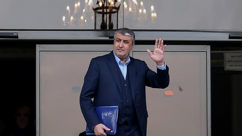 Iranpress: AEOI Chief: West come to terms with 