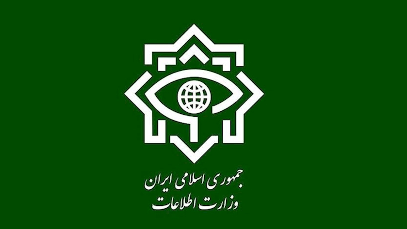 Iranpress: Intelligence Ministry to fully probe into schoolgirls’ health problems