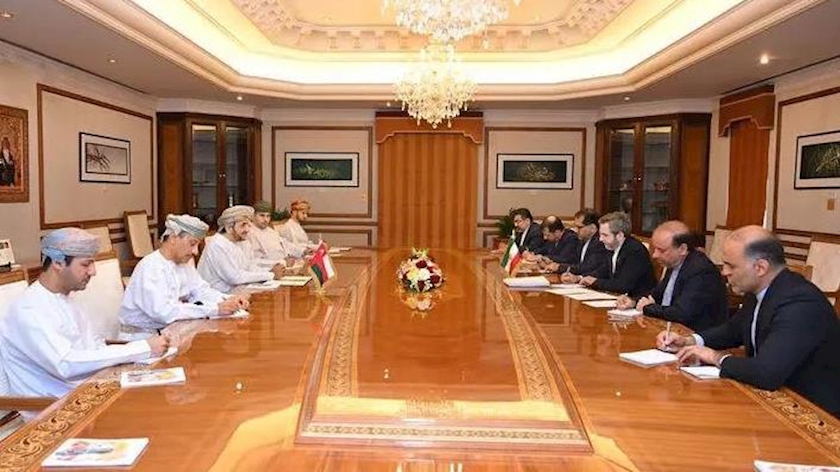 Iranpress: Iran, Oman hold joint committee of political consultations