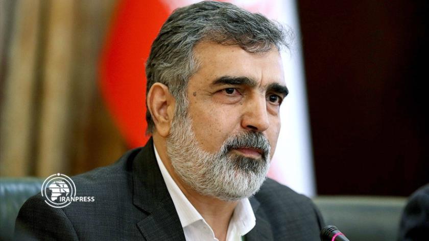 Iranpress: Iran-IAEA issues should be resolved technically: AEOI Spox