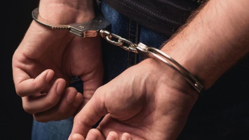 Iranpress: Police arrest 118 involved in Iran