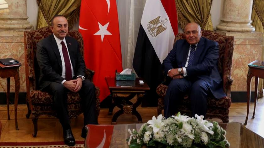 Iranpress: Egypt FM says there