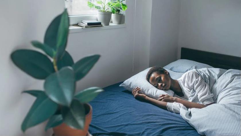 Iranpress: What is the purpose of sleep?