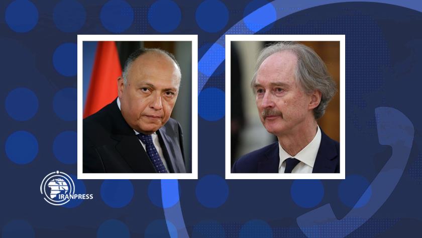 Iranpress: Egyptian FM calls for end to terrorism, foreign interference in Syria