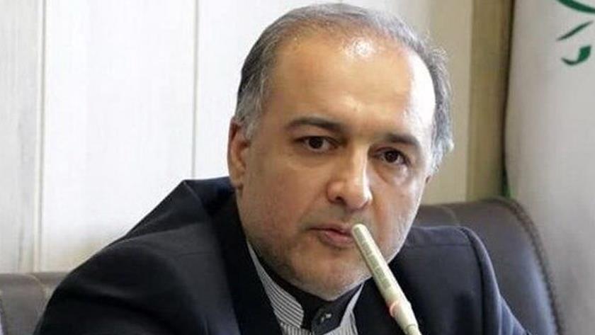 Iranpress: Iran vows to support Palestinian nation: Iranian envoy 