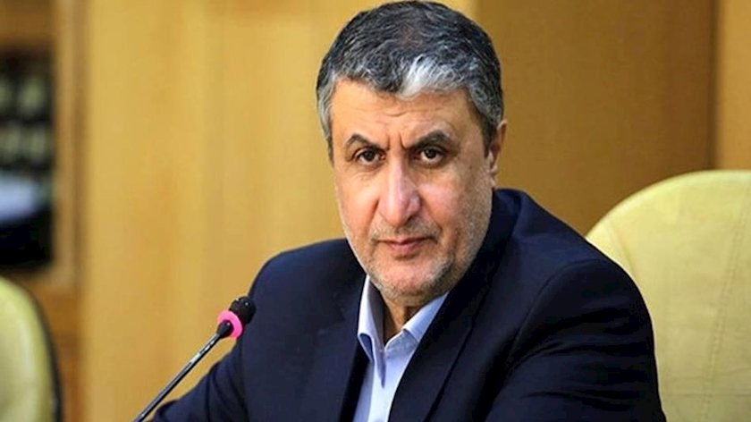 Iranpress: French nuclear industry set up thanks to Iran