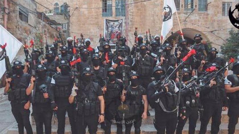 Iranpress: Israeli occupation forces detain siblings near Jenin, another in Nablus
