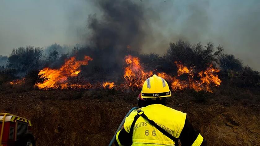 Iranpress: Wildfire on French-Spanish border destroys 1,000 hectares