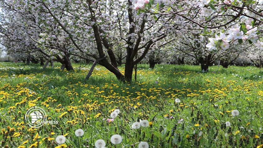 Iranpress: Silvana Paradise of tourism in West Azerbaijan