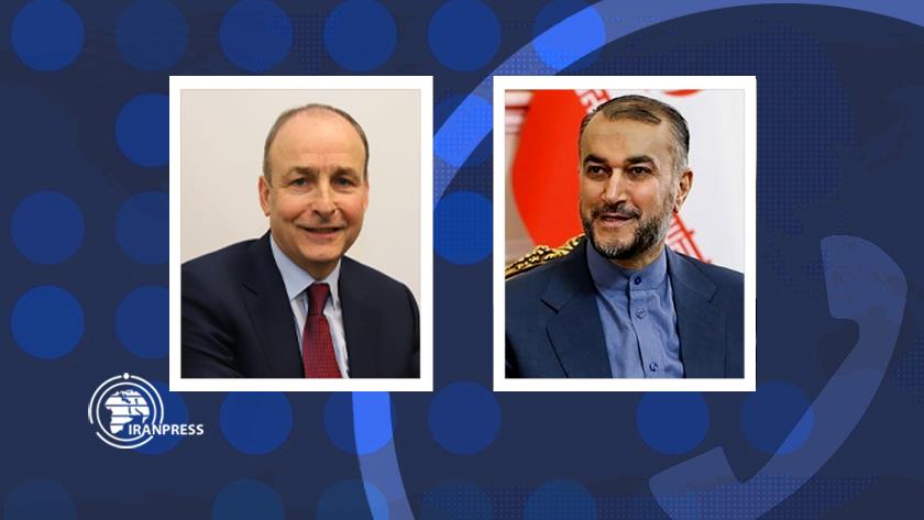 Iranpress: IRGC biggest counter fighter in region: FM