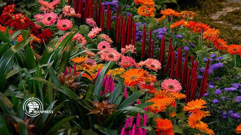 Iranpress: People welcome Tehran Flower, Plant Exhibition 