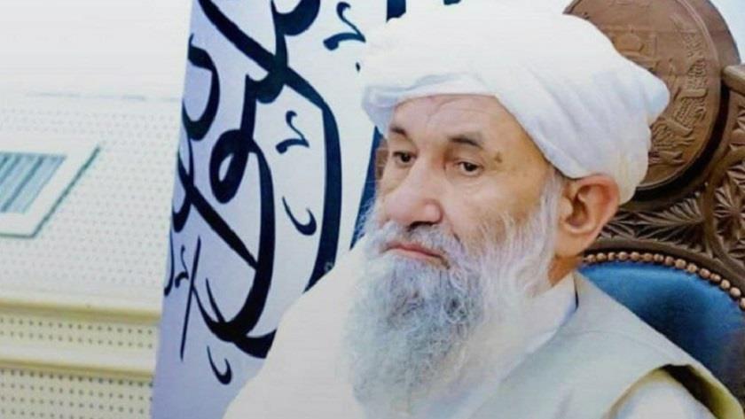 Iranpress: Afghanistan: Taliban